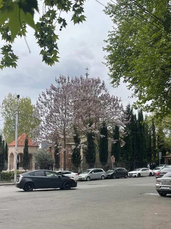 Квартира в центре