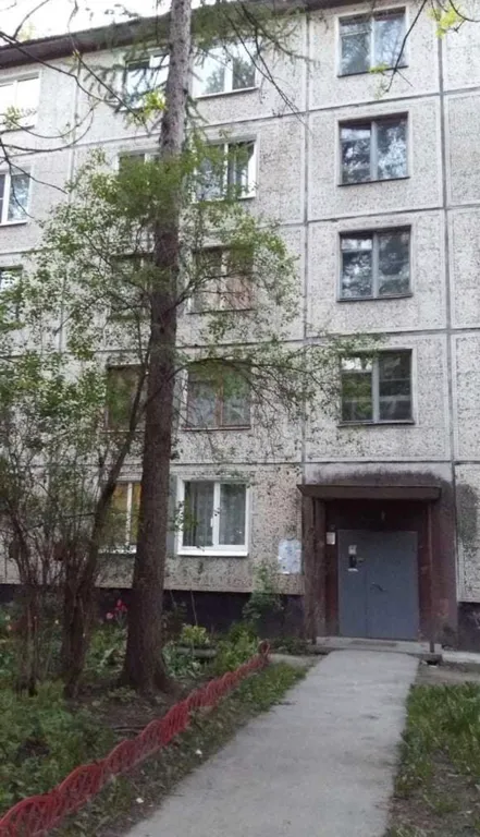 Квартира 3-комнатная Квартира — Колпино