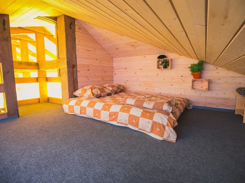 Шале под Минском