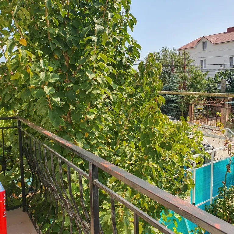 Семейный двухкомнатный люкс с балконом 15