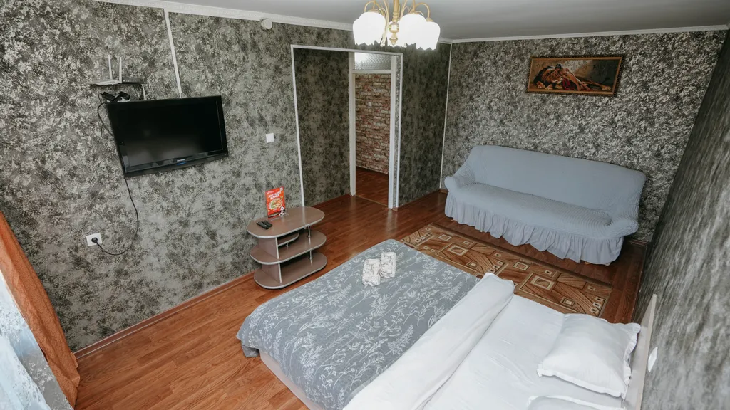 Econom Bagira, просторная однушечка в центре