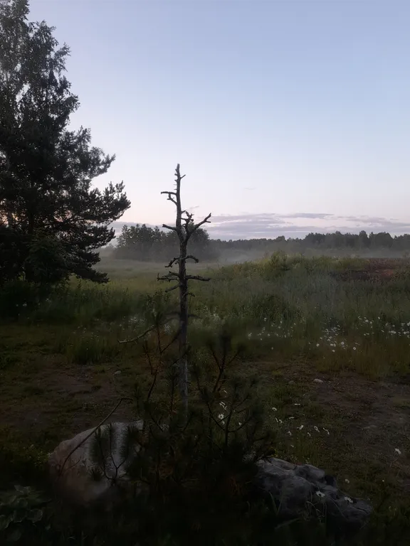 Дом из бревна