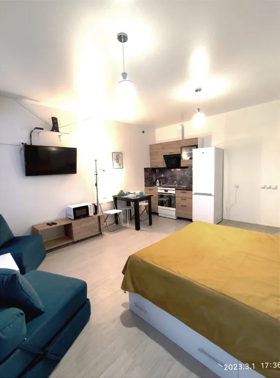 Просторная, уютная, светлая студия