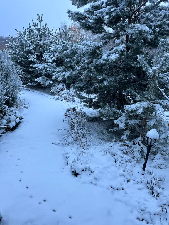 Гостевой дом в заповедной зоне Поленово