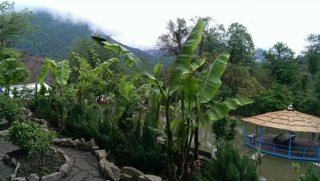 Дом в ущелье Ах-Цу