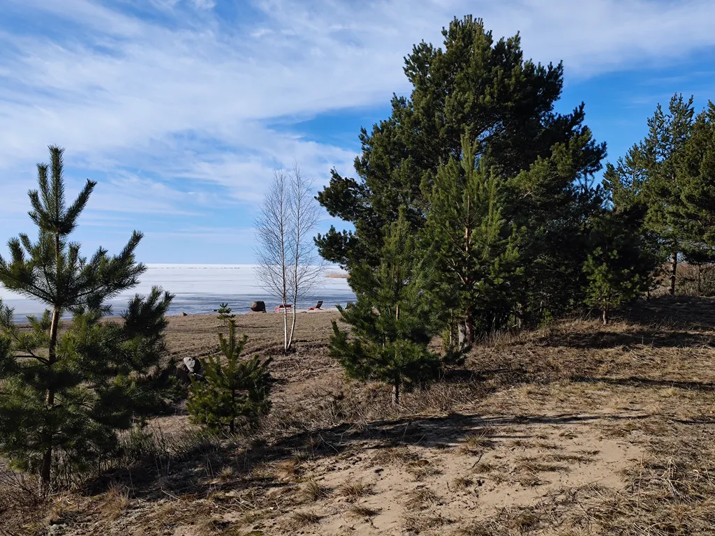 Чудо-дом с сауной