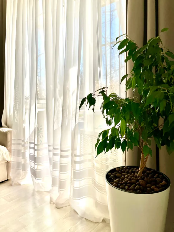 Двухкомнатные апартаменты с балконом Sinyaya ptichka