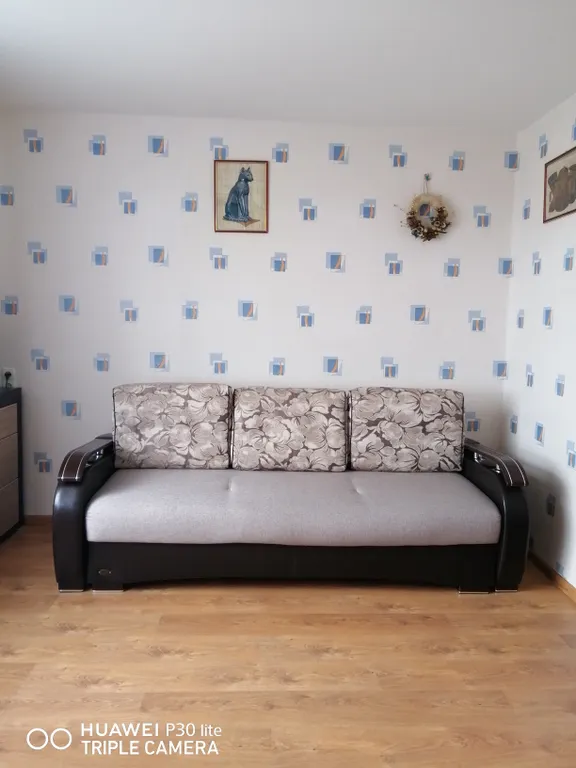 Квартира Место для ценителей порядка, уюта, тишины, безопасности — аренда посуточно в Минск