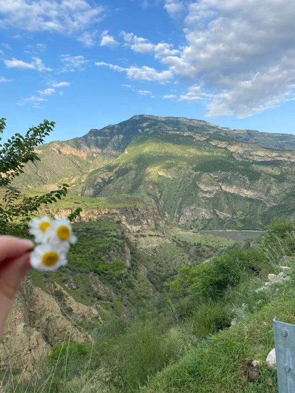 Комната с диваном