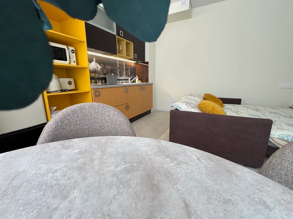 Студия с терассой