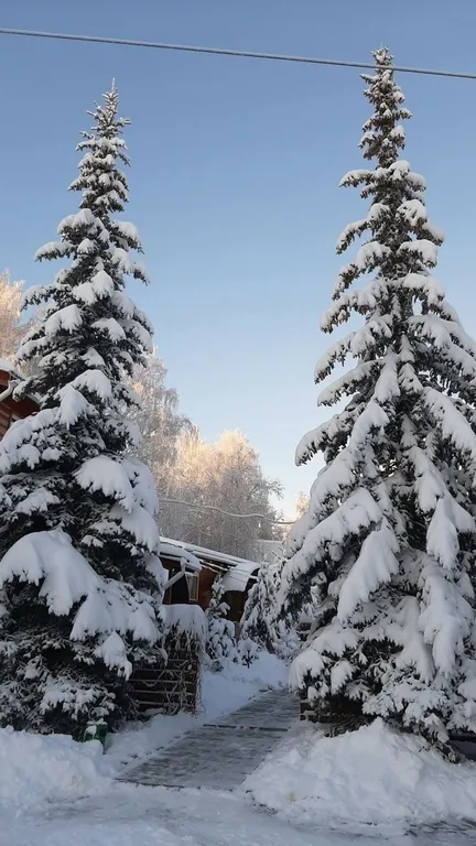 Семейное бунгало на Банном Гостевой