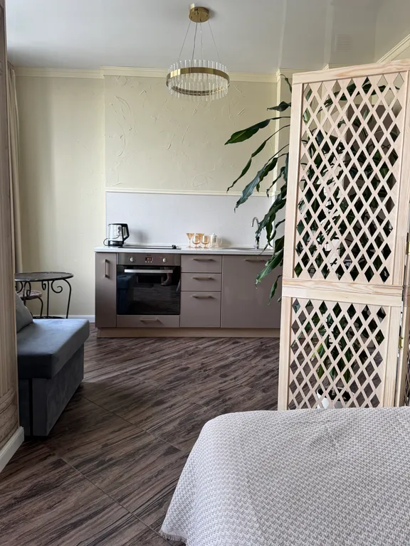 Классическая , стильная студия напротив Центрального Стадиона.