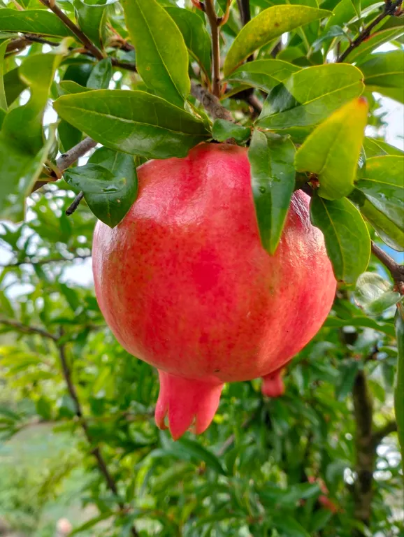 Коттедж под ключ на море