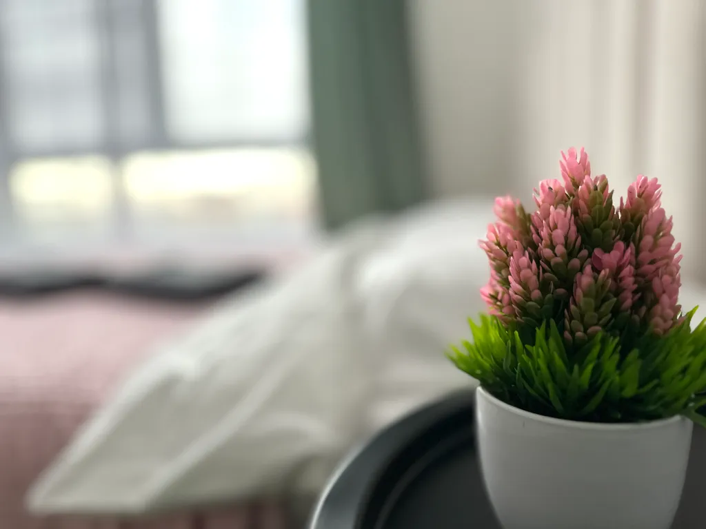 Студия рядом с аэропортом Внуково