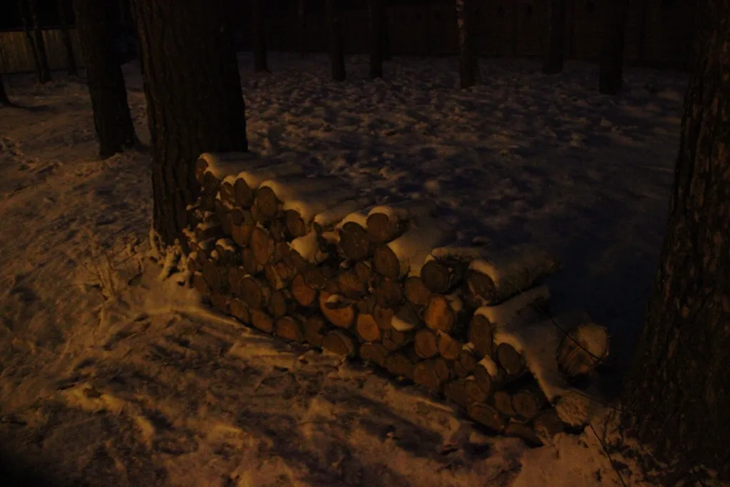 Новогодний дом в лесу