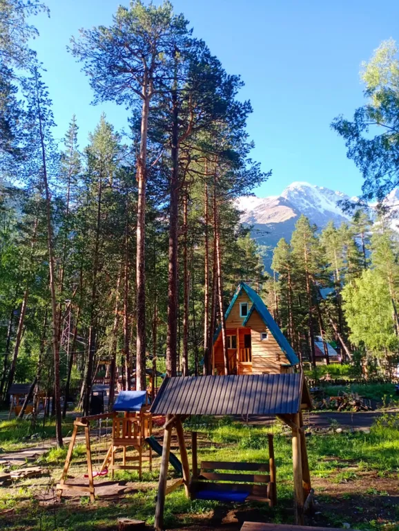 Гостевой дом в сосновом бору с горной рекой на территории