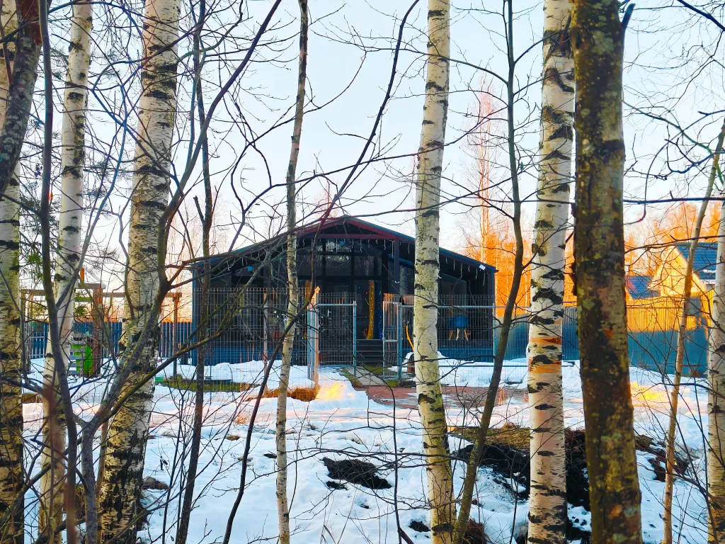 Панорамный коттедж с сауной у леcа