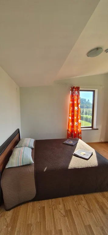 Куркиёки у леса