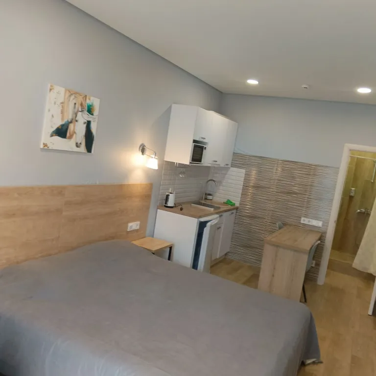 Квартира Апартаменты Парус Студия 8 — Прасковеевка