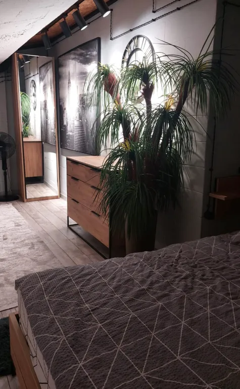 Прекрасные апартаменты люкс класса с видом на Джума мечеть