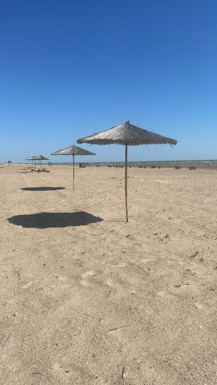 Коттеджи на берегу моря Sea Breeze