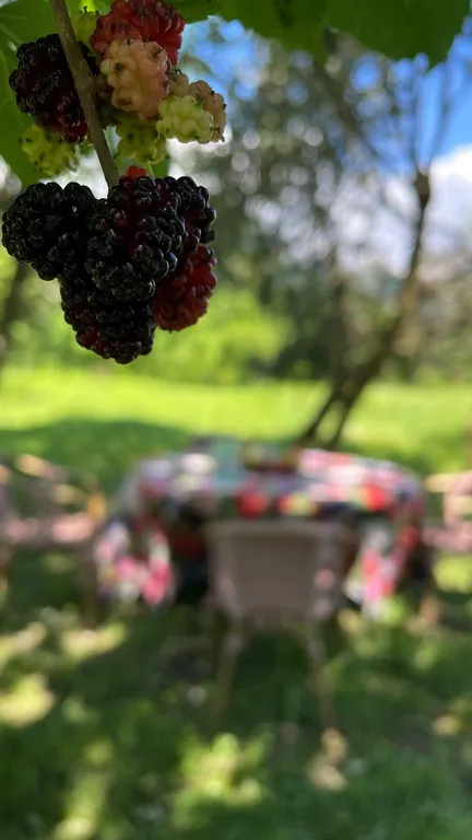 Дом в Абхазии, рядом сероводородные источники, море, река