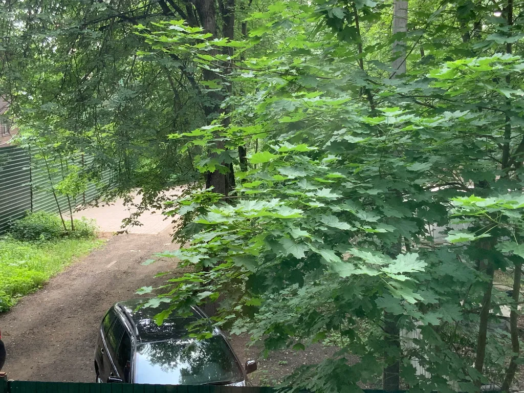 Дом в Переделкино