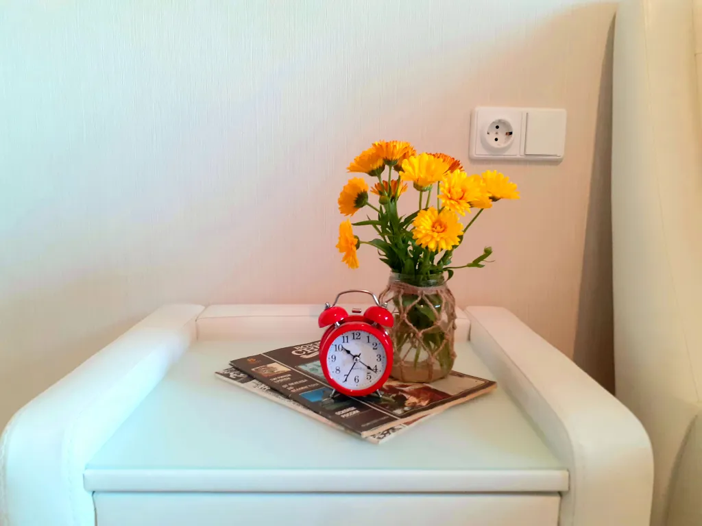 Просторная квартира рядом с Орловой рощей