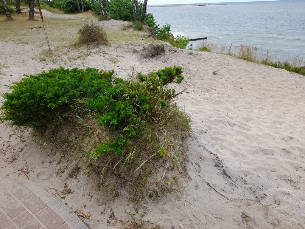 Квартира Уютная квартира в курортном городе — Пионерский