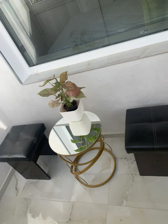 Уютная квартира в центре города с видом на парк