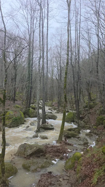 Прекрасная база отдыха в горах "Дубровский клуб"