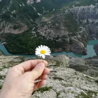 Дина