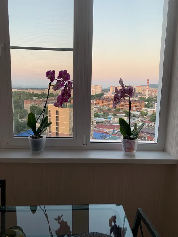 Квартира Уютная квартира — Анапа