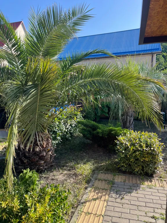 Квартира Комната — Лазаревское