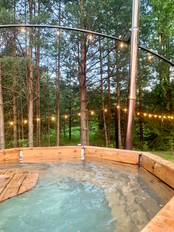 Уникальный купольный дом среди хвойного леса