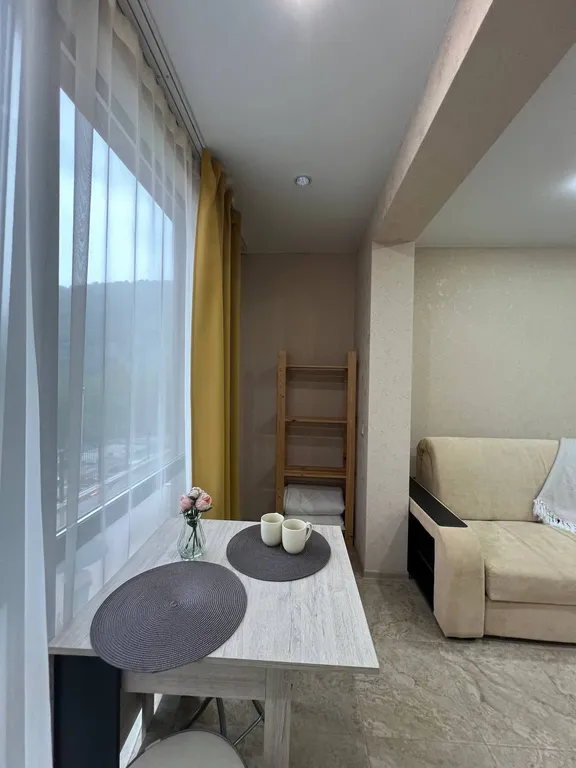 Студия в Красной поляне с видом на горы