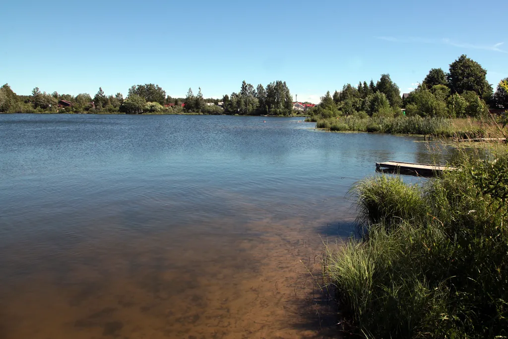 Стильный коттедж с панорамным остеклением у озера