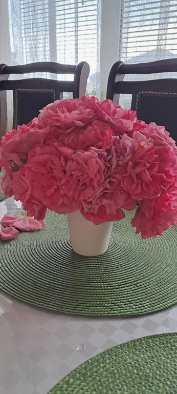 Коттедж под ключ у Черного моря