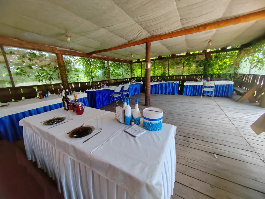 Коттедж возле горячих источников до 25 человек