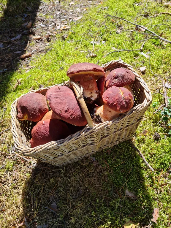 Дом у озера Мстижа