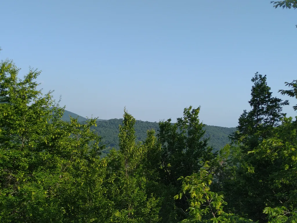 Бревенчатый дом 2 в лесу с бассейном