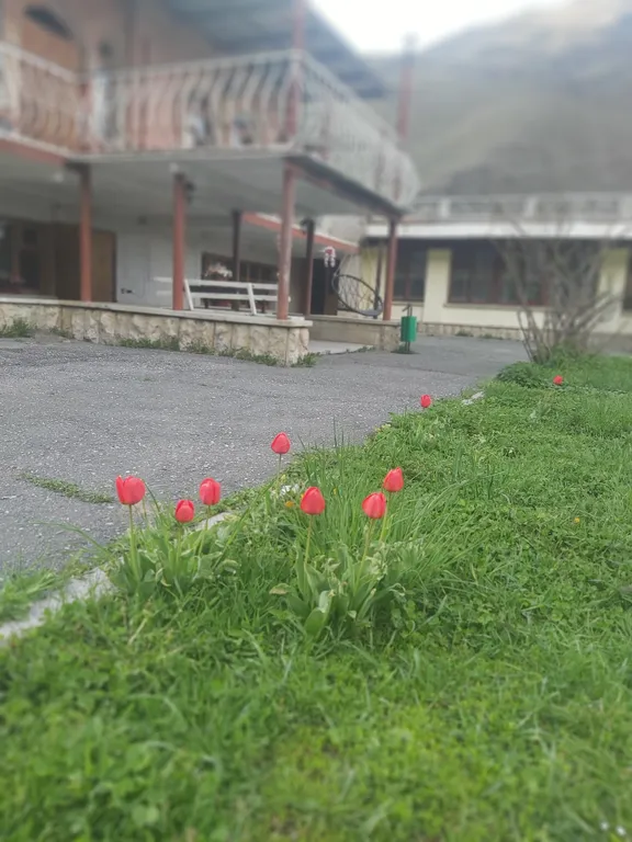 Дом особняк в живописном районе Куртатинского ущелья