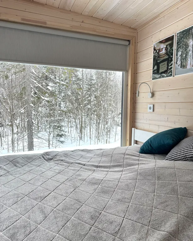 Уютный домик с панорамным окном и видом на лес