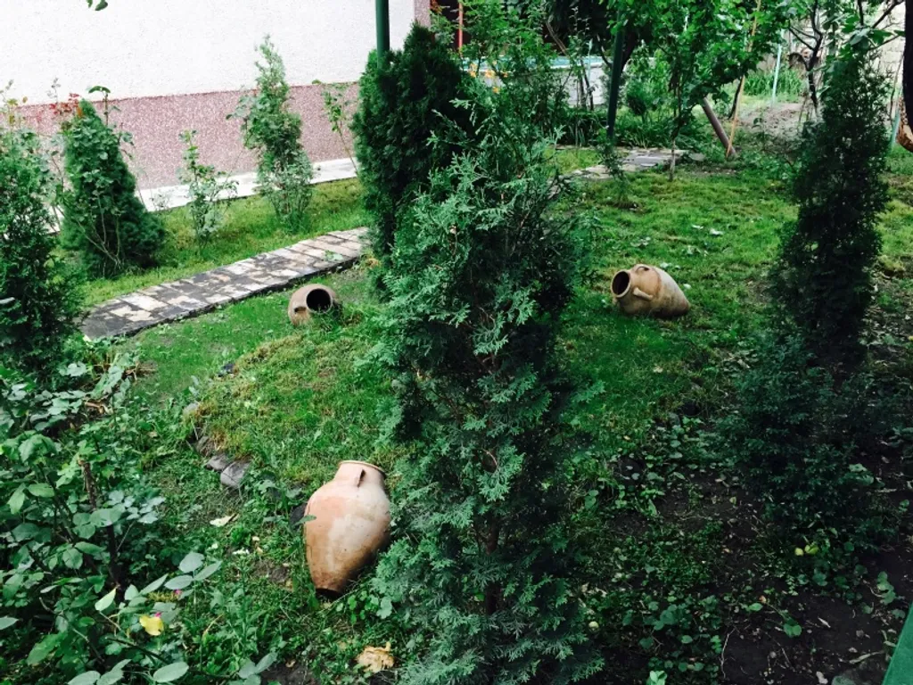 Вилли с бассейном