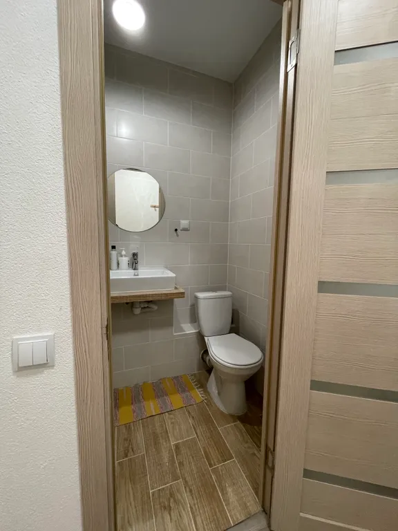 Студия в сосновом бору