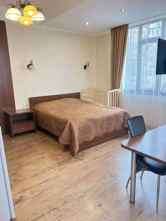 Студия с видом на горы