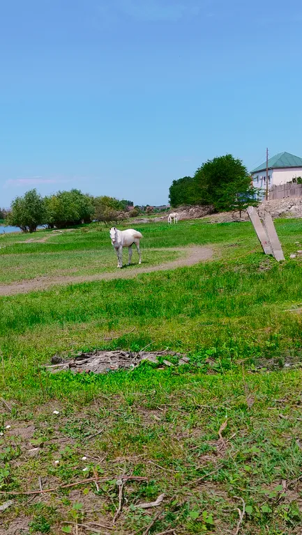 Гостевой дом