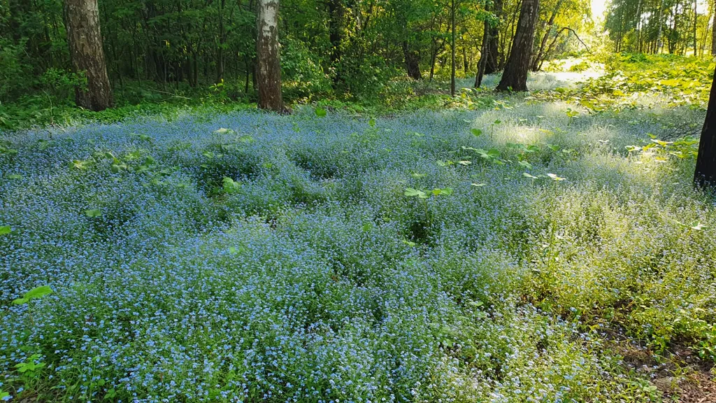 Коттедж Домик гостевой — Нижний Новгород
