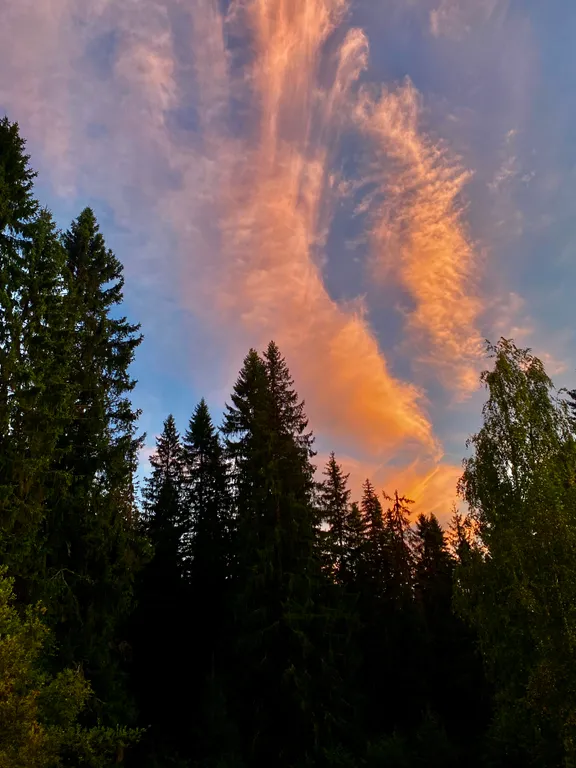 Уютная лесная дача в экологически чистом месте северного приладожья