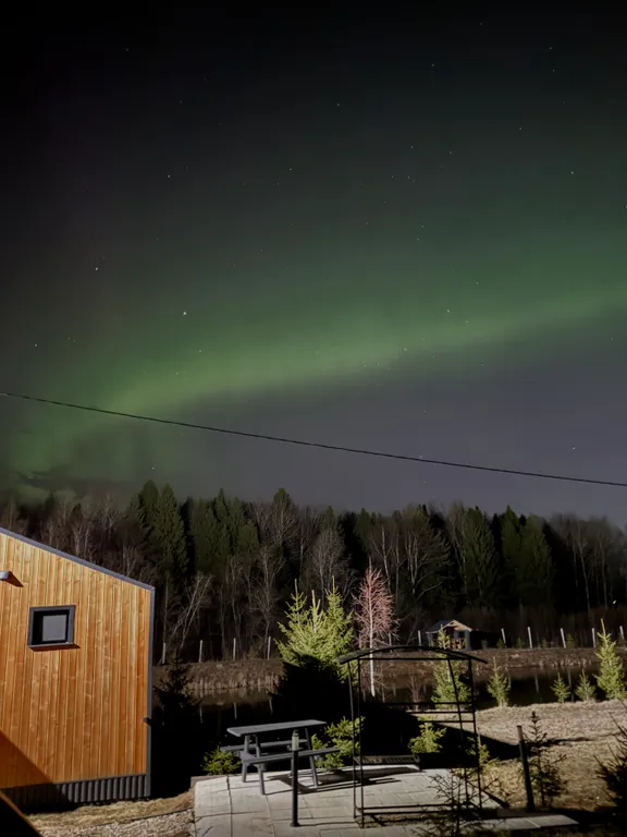 Уютный домик у леса